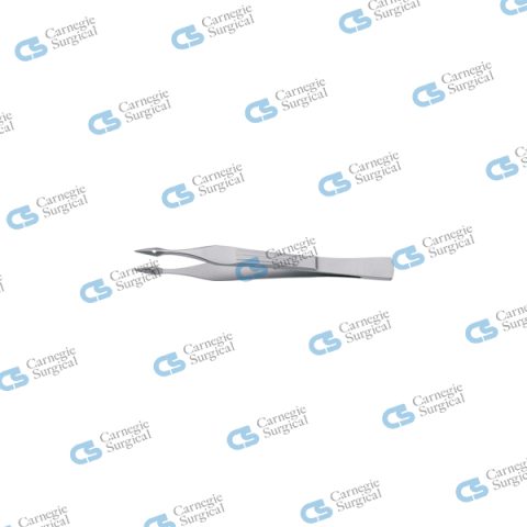 WALTER-CARMALT Splinter forceps straight