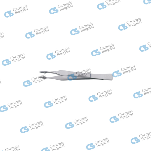 WALTER-CARMALT Splinter forceps straight WALTER-CARMALT Splinter forceps straight
