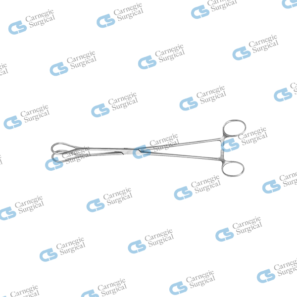 Tissue & Organ holding forceps Tissue & Organ holding forceps