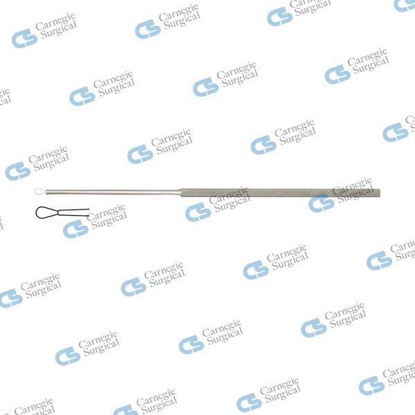 BILLEAU Ear loop small BILLEAU Ear loop small