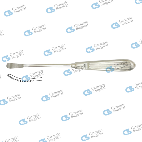 AUFRICHT (GLABELLA) Nasal Rasps AUFRICHT (GLABELLA) Nasal Rasps