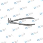 Extracting forceps english pattern lower roots 33