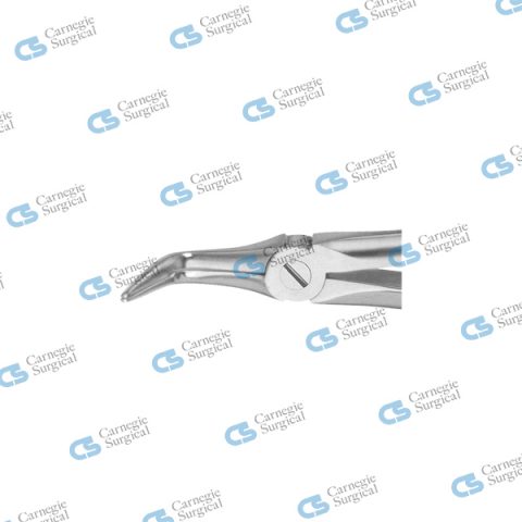Extracting forceps english pattern lower roots 46L