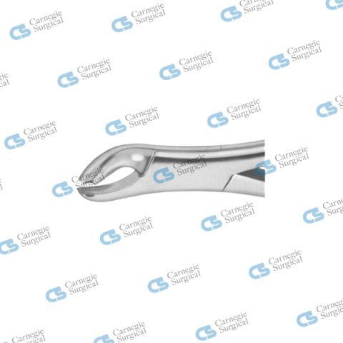 Extracting forceps american pattern, lower molar, 17