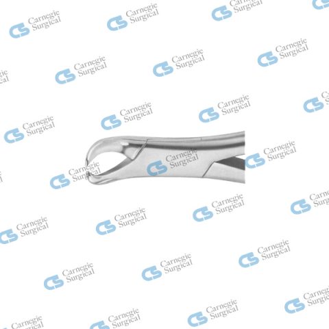 COWHORN Extracting forceps american pattern lower molar 23