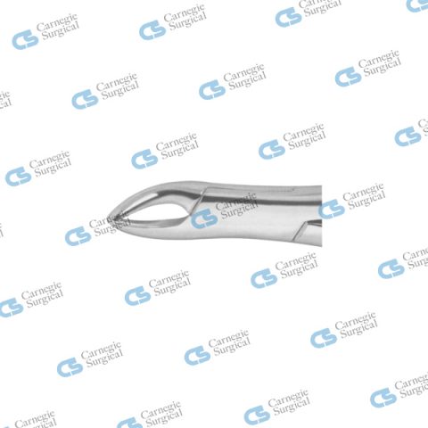 Extracting forceps american pattern upper & lower incisors canines premolars 62