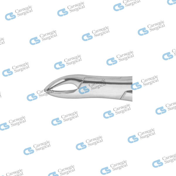 Extracting forceps american pattern upper & lower incisors canines premolars 62 Extracting forceps american pattern upper & lower incisors canines premolars 62