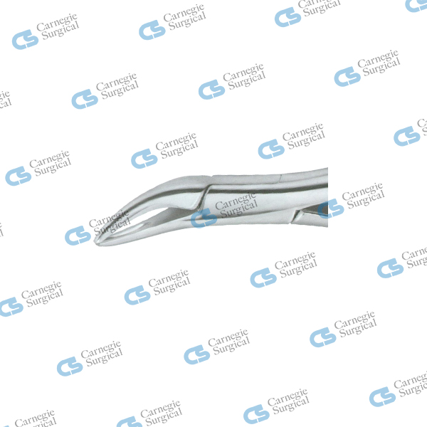 TOMES Extracting forceps american pattern upper & lower fragments & roots 69 TOMES Extracting forceps american pattern upper & lower fragments & roots 69