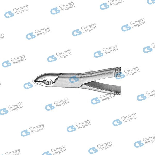 Extracting forceps american pattern upper incisors & premolars 99C Extracting forceps american pattern upper incisors & premolars 99C