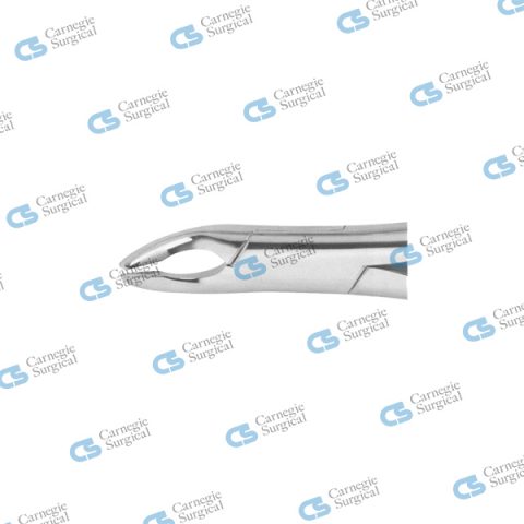 CRYER Extracting forceps american pattern upper incisors premolars & roots 150A