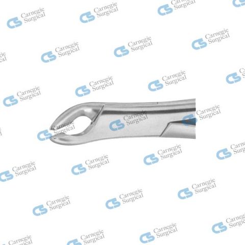 CRYER Extracting forceps american pattern