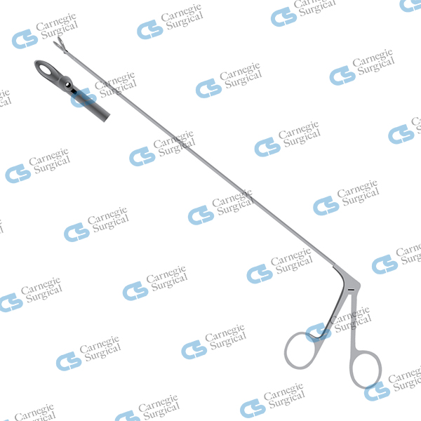 BLAKESLY Cutting Forceps BLAKESLY Cutting Forceps