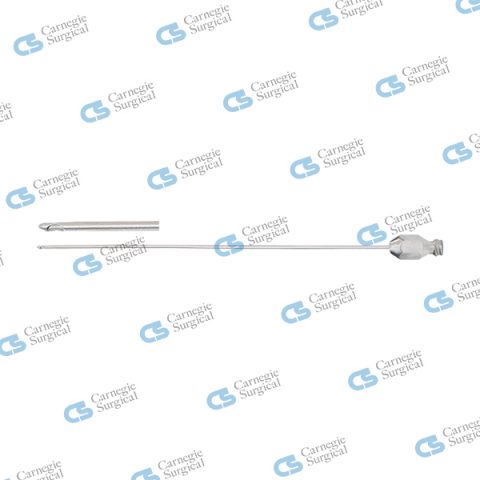 Microinjection Cannulae