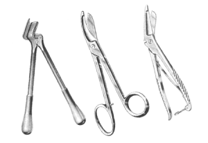 Plaster Shears