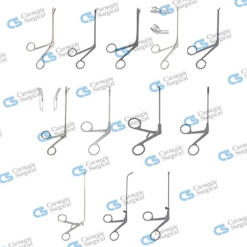 BERGHAUS Paranasal Sinus Microsurgery Set