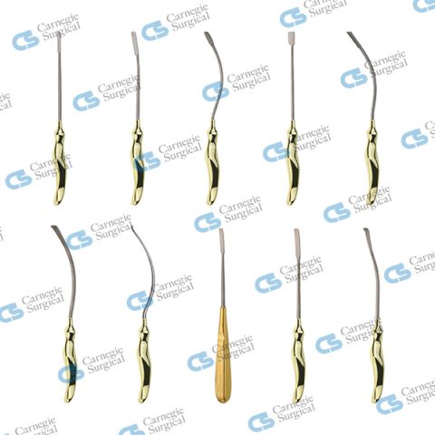 RAMIREZ ERGO-Style Endoscopic Set